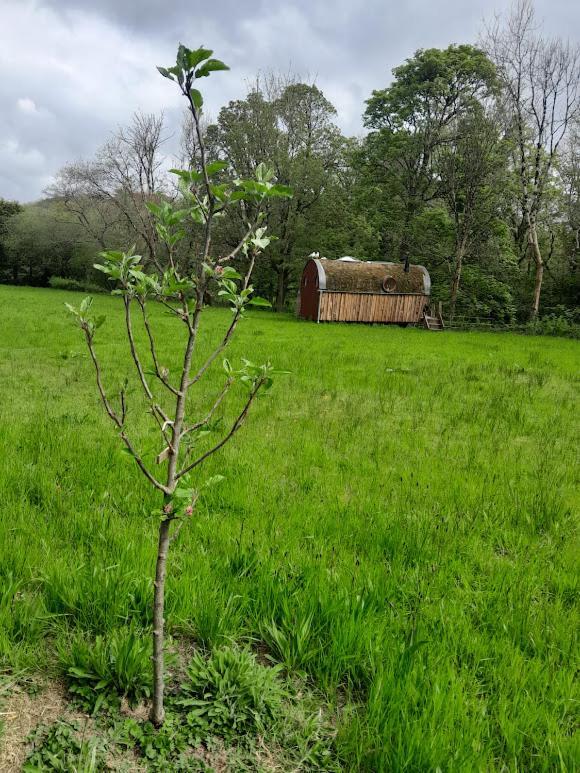 Riverside Cottage Walking Distance Into קרנארפון מראה חיצוני תמונה